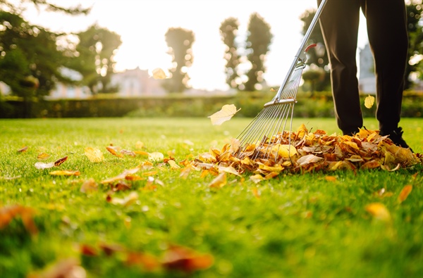 Year-Round Lawn Maintenance: Keep Your Yard Healthy in Every Season