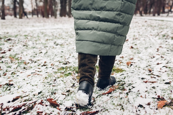 Understanding the Impact of Winter Weather on Different Grass Types